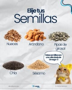 616056203 17932016883174221 7232937292316078509 n